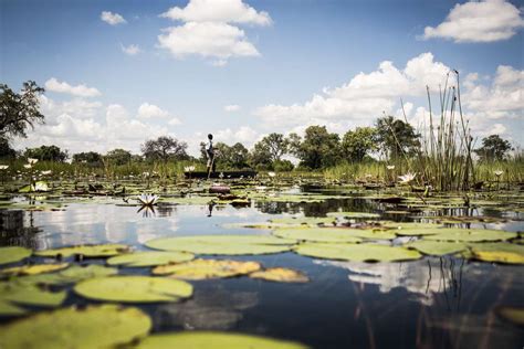 The Okavango Delta Okavango Delta Safaris Wilderness Safaris