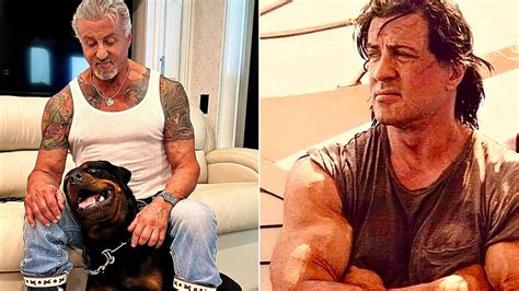 Sylvester Stallone 2022 Movies