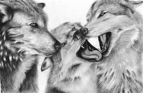 Use these free easy wolf drawings in pencil png #142071 for your personal projects or designs. Wolves | Pencil sketch on A4. | kathryn yates | Flickr