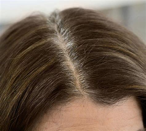 These days, most men and women have grey hair even in their 30s. How to Cover Gray Hair (With images) | Covering gray hair ...