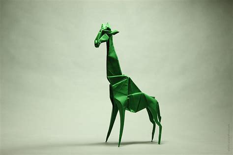 Hideo Komatsu Giraffe Giraffe Автор Hideo Komatsu Сборк Flickr