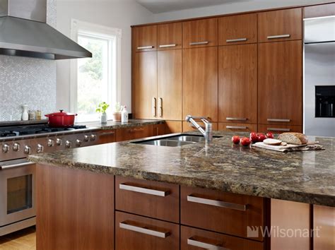 We found one dictionary with english definitions that includes the word black cabinet: This beautiful kitchen features our new Wilsonart® HD ...