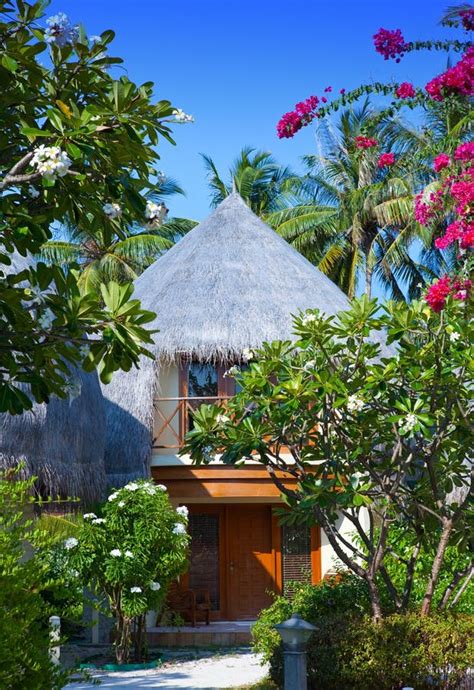 Traditional Tropical Hut In Garden Stock Image Image Of Dream