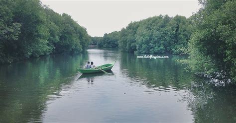 Piknik di Konservasi Hutan Mangrove PIK | List of Happiness