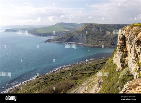 Chapmans Pool Coastal Path From St Aldhelms Head Aka St Albans Head