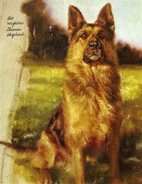 German Shepherd Vintage Dog Art Prints Ts And Artwork From