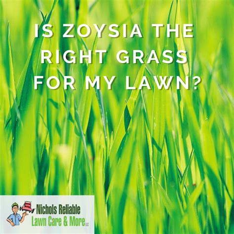 Zoysia grass is not the best type of grass for many residential applications in florida. How to Determine if Zoysia the Right Grass for My Lawn