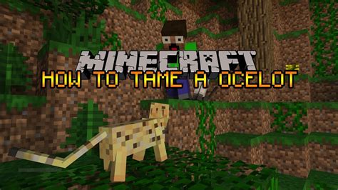 A tamed wolf differs from a wild one in both its characteristics and appearance. Minecraft - How To Tame A Ocelot 1.10] - YouTube
