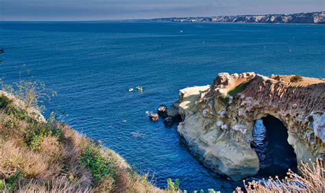 Snorkeling In La Jolla 5 Thing You Need To Know Trident Divers