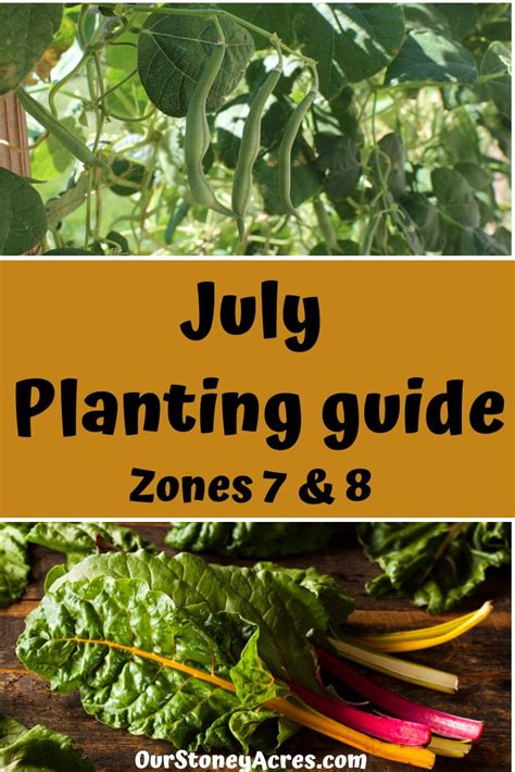 July Planting List Zones 7 And 8 Our Stoney Acres Vegetable Garden