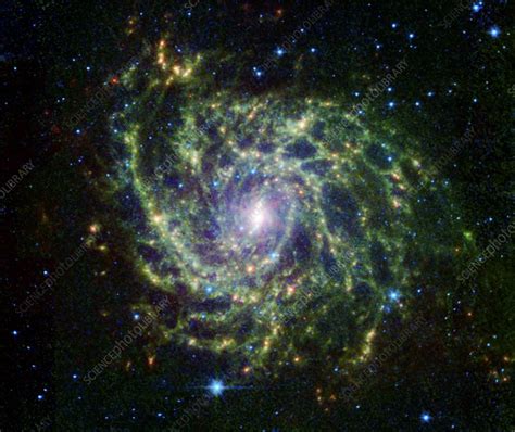 Spiral Galaxy Ic 342 Optical Image Stock Image C0115195 Science