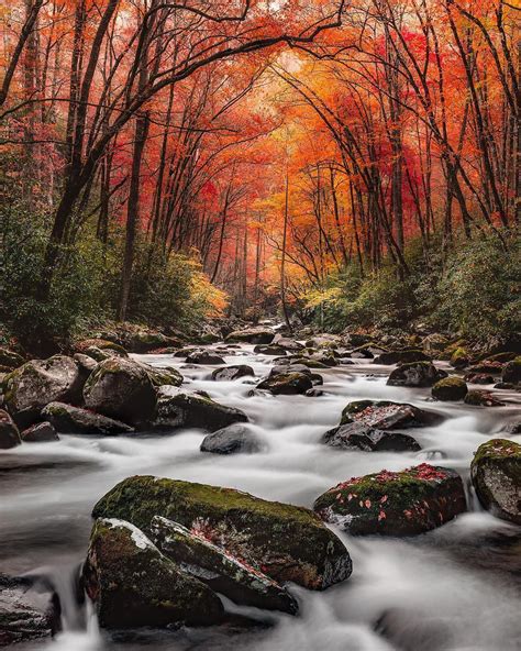 Fall At Great Smoky Mountains National Park Rmostbeautiful