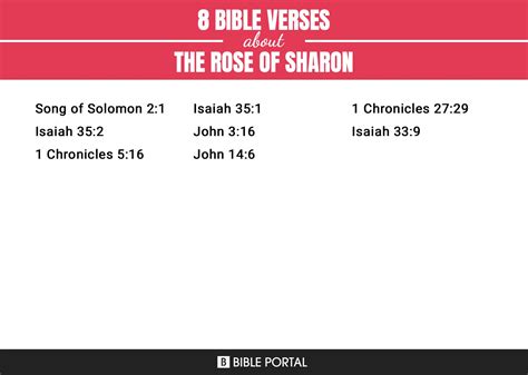 8 Bible Verses About The Rose Of Sharon