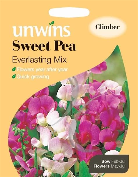Sweet Pea Everlasting Mixed Clocks Home And Garden