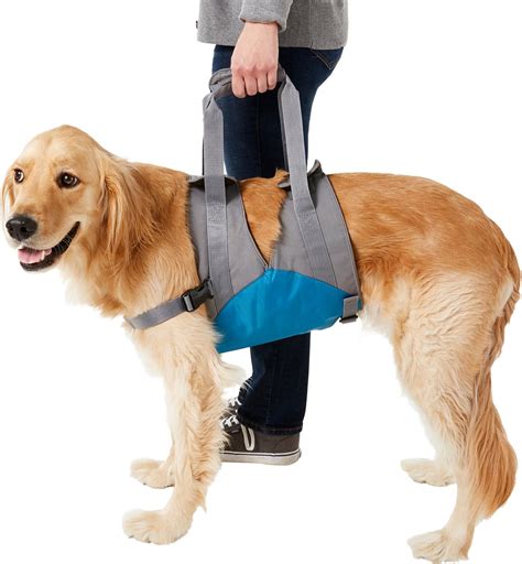 Kurgo Up And About Dog Lifter