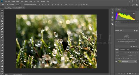 Bagas31 Adobe Photoshop Cc 2019 Full Version Free Download