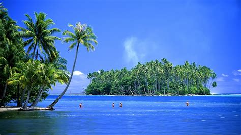 47 Beautiful Tropical Islands Desktop Wallpaper Wallpapersafari