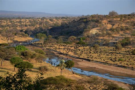 Tarangire National Park Unieke Reizen Naar Tarangire In Tanzania