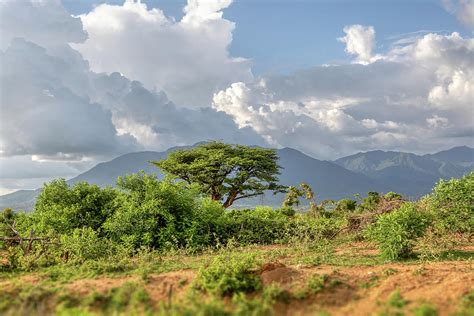 Mago National Park Omo Valley Etiopia Photograph By Artush Foto Pixels