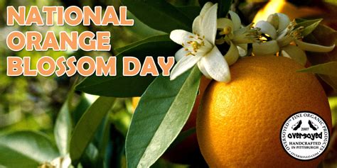 national orange blossom day oversoyed fine organic products