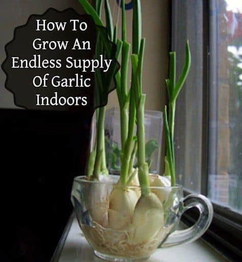 32 Ways To Create The Best Indoor Herb Garden