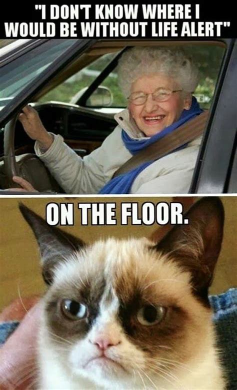 Hilarious Grumpy Old People Memes Funny Cats Top 49 Most Funniest