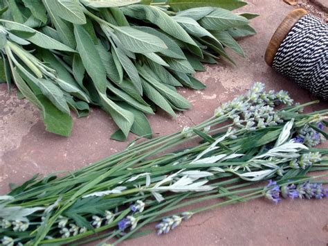 Psychic Spirit How To Cleanse Your Home With Sage