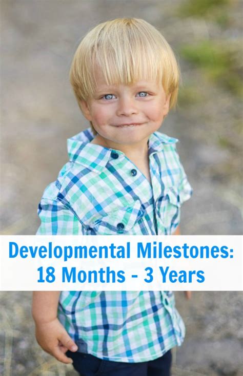 Major Developmental Milestones For Toddlers Mommy Evolution