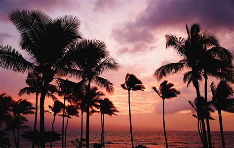 Download Take In The Beauty Of A Hawaiian Sunset Wallpaper
