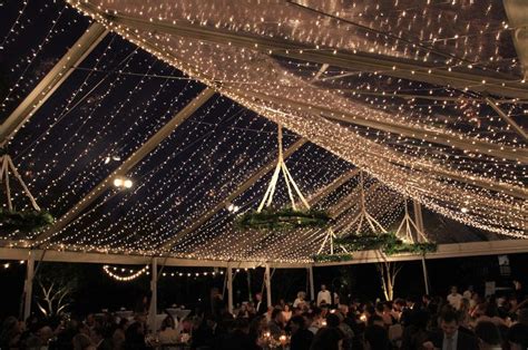 Get Lit Event Lighting Twinkle Light Ceiling 20 Spacing Market