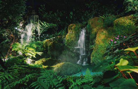 These Are The Best Rainforests To Visit In The World Storyv Travel Lifestyle