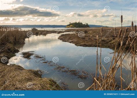 Skagit Bay Estuary Stock Image Image Of Recreation 205857421