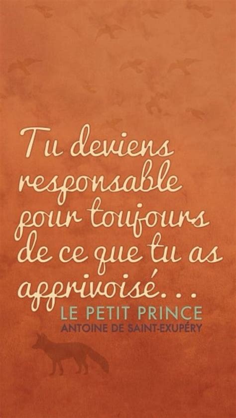 1145 quotes from the little prince: En Francais Petit Prince Quotes. QuotesGram
