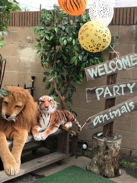 Safari Birthday Party Ideas Photo 9 Of 15 Tiger Birthday Party