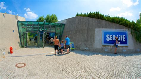 Top 20 Sea Life Aquarium Munich House Rentals From 60night Vrbo