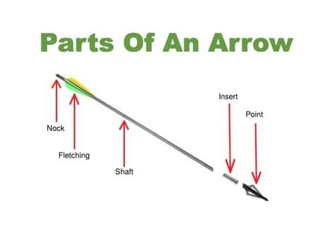 Parts Of An Arrow Explained Deer Hunting Guide