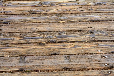 Wood Plank Texture Free Stock Photo Public Domain Pictures