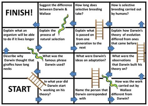 Ks4 Gcse Biology Evolution Revision Lesson Teaching Resources