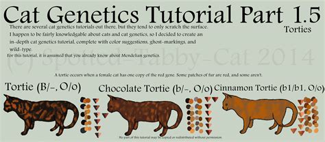 There are two basic colors of cats, black and red. Cat Genetics Tutorial Part 1.5 (Torties) by Spotted-Tabby ...