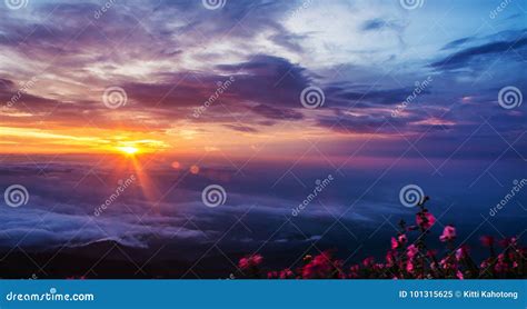 Morning Mist With Mountain Sunrise And Sea Of Mis Stock Image Image