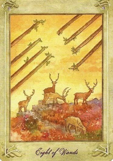 At any moment during a ritual of tarot magic, the awareness will be focused on only a single card. Eight of Wands | Llewellyn tarot, Wands tarot, Tarot cards art