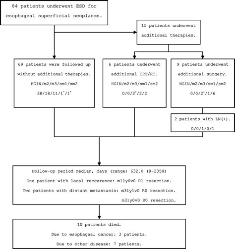 Long Term Outcomes Of Endoscopic Submucosal Dissection For Superficial