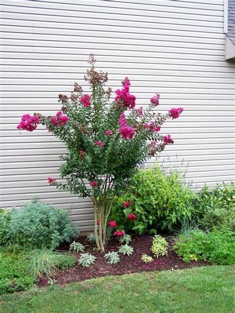 30 Beautiful Landscaping Ideas With Crepe Myrtles Balcony Garden Web