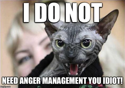 Anger Management Imgflip