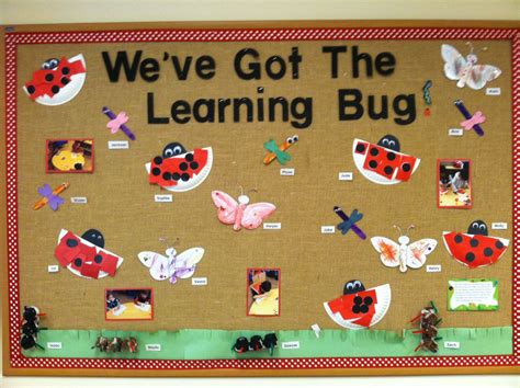 A Bulletin Board With Ladybugs And Butterflies On It That Says Weve