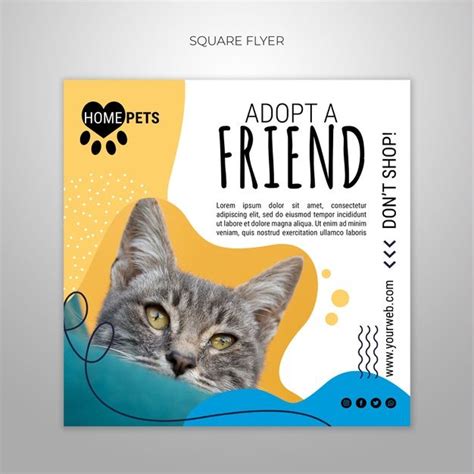 Free Psd Adopt A Pet Square Flyer Template With Photo Of Cat Pet
