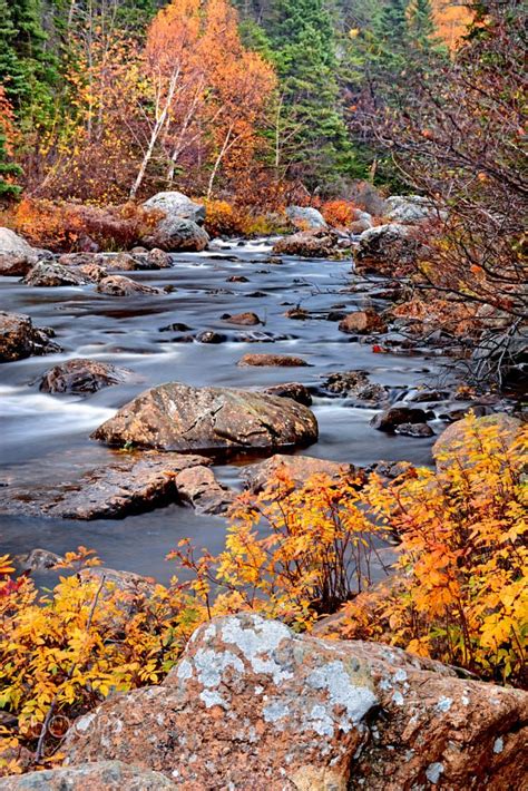 Autumn River Newfoundland