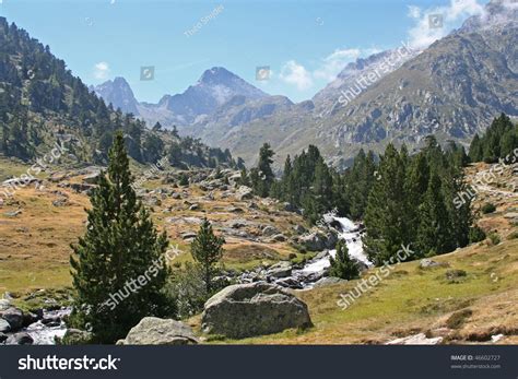 Majestic Mountain Scenery With Firs A Sparkling Stream And Large