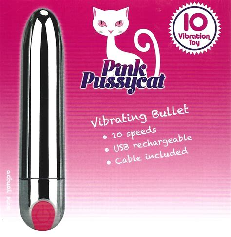 Pink Pussycat Rechargeable Silver Bullet Vibe