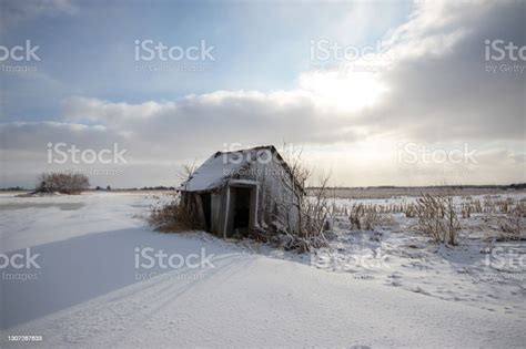 Rural Winter Scene Stock Photo Download Image Now Snow Beauty